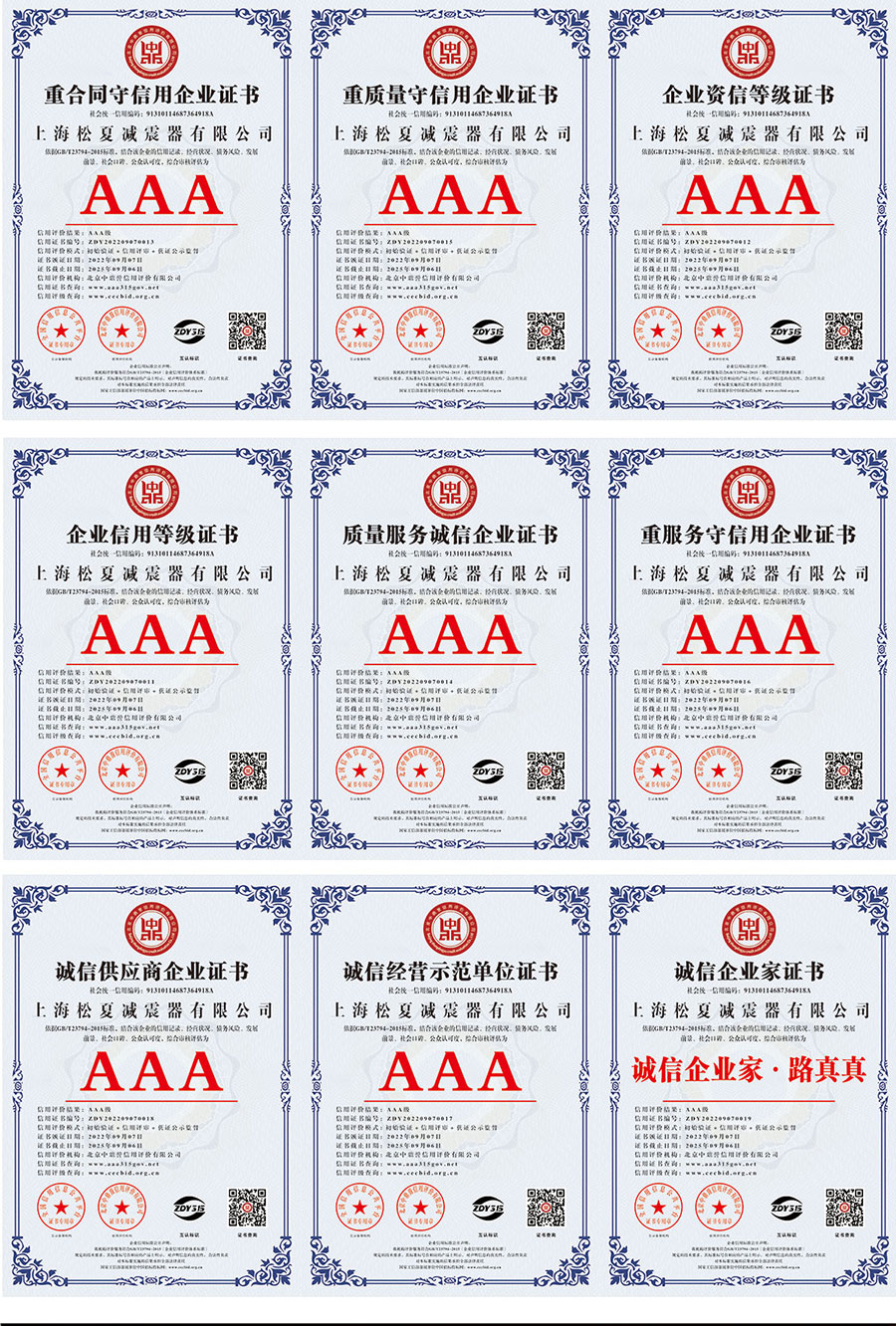 上海松夏減震器有限公司榮譽(yù)資質(zhì)